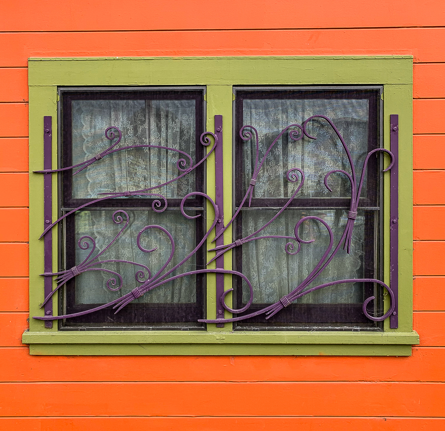 The orange house on the corner-Berkeley-6314